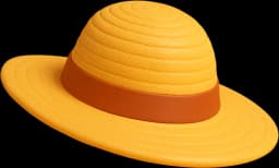 Summer Straw Hat